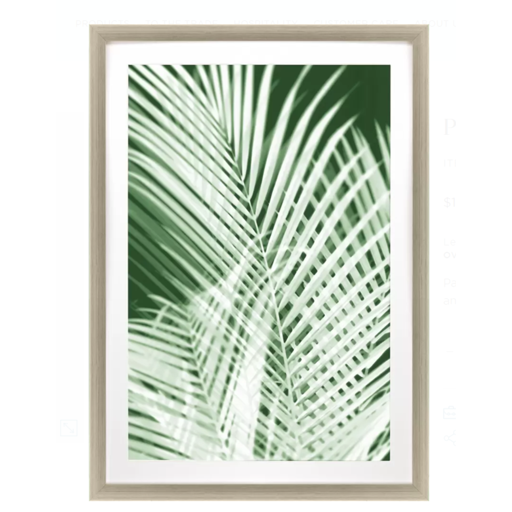 Mickler & Co. Green Shadows Palm Artwork