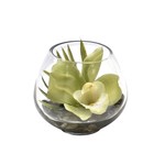Mickler & Co. Orchid In Glass