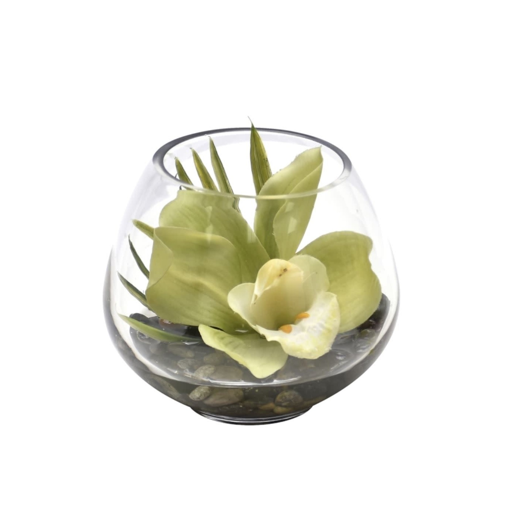 Mickler & Co. Orchid In Glass