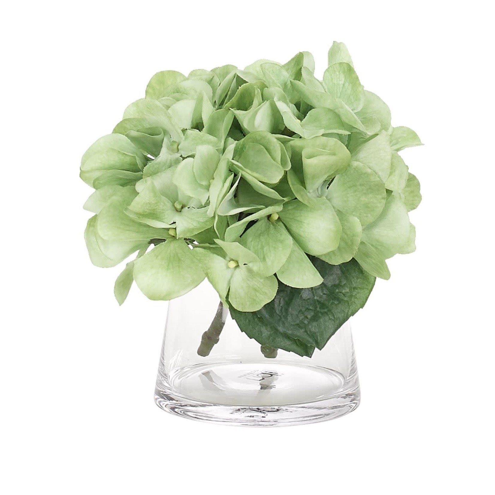 Mickler & Co. Green Hydrangea in Glass Vase