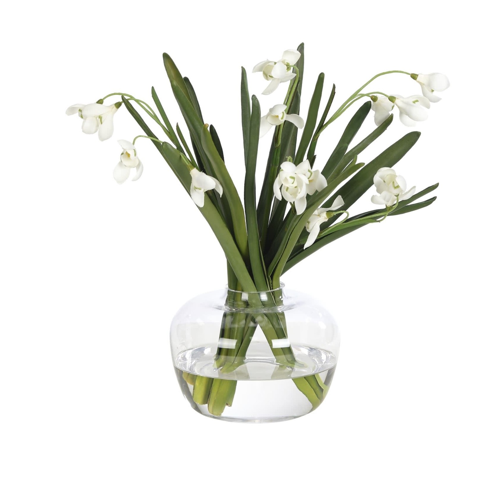 Mickler & Co. Snowdrop in Glass Vase