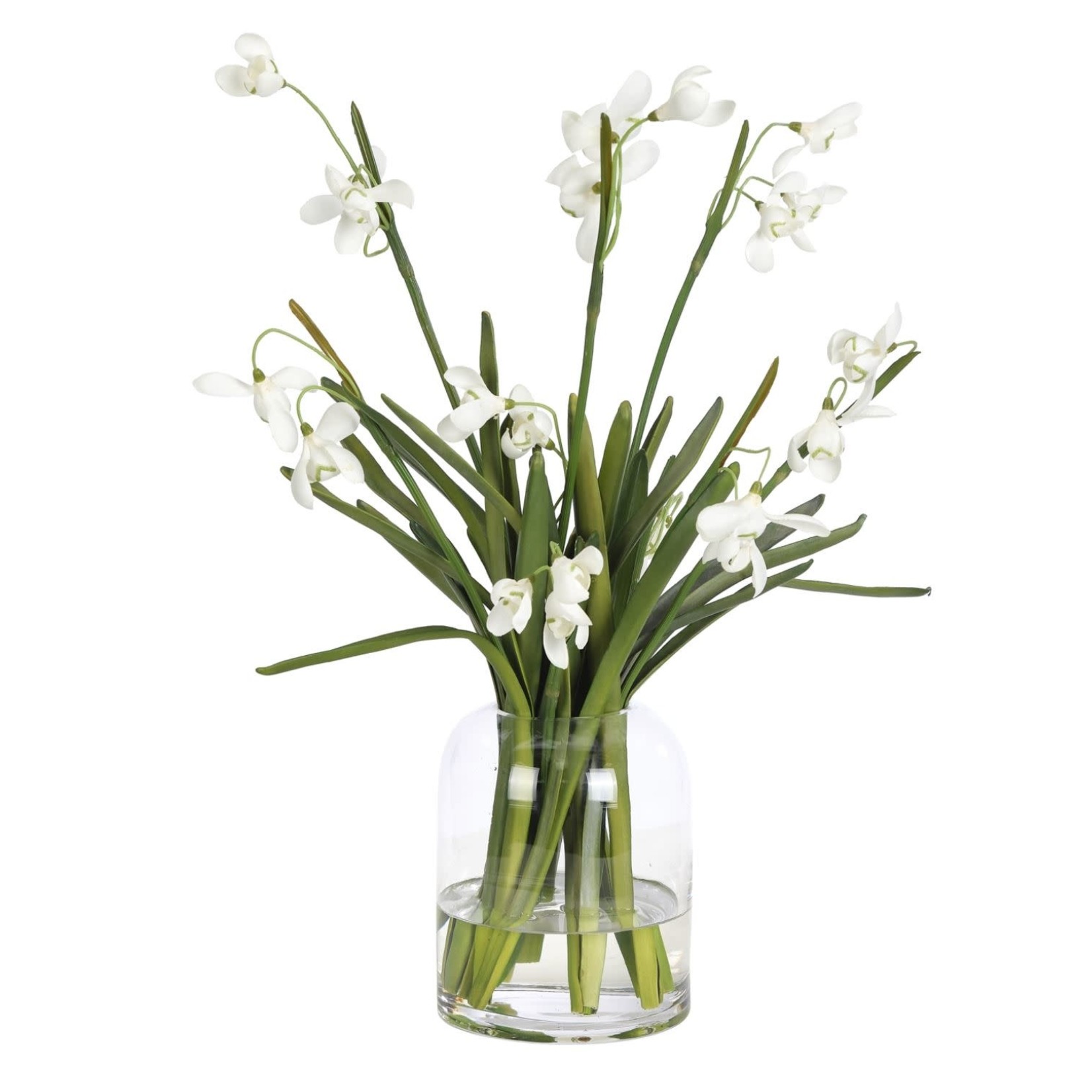 Mickler & Co. Snowdrop in Glass Vase