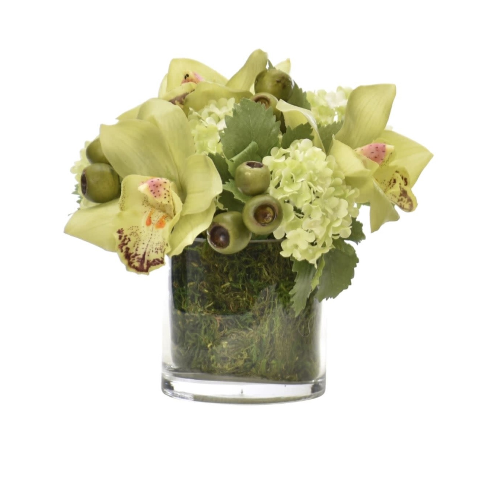 Mickler & Co. Orchid & Hydrangea in Moss