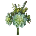 Mickler & Co. Assorted Succulent Insert (FI-29)