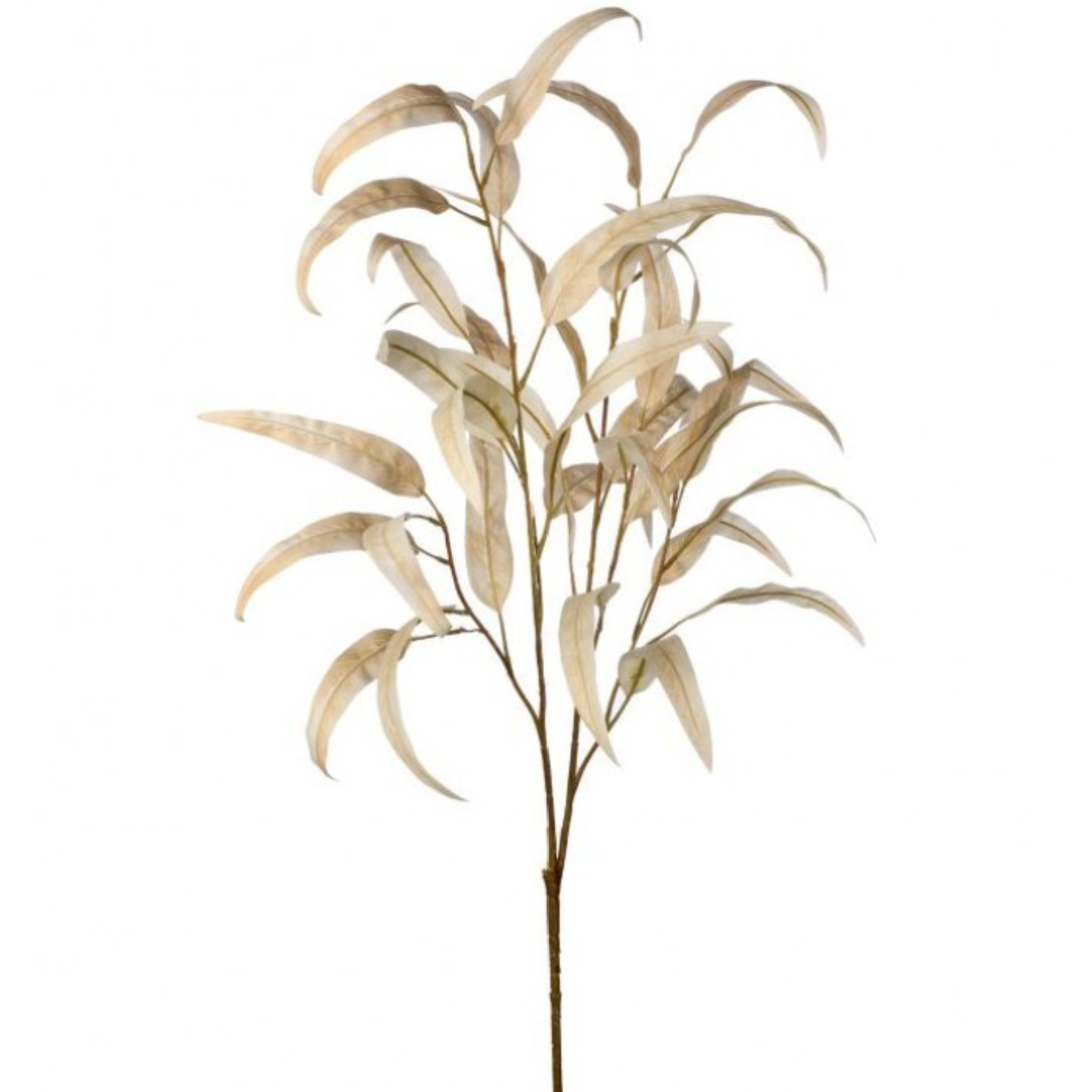 Mickler & Co. Bleached Long-Leaf Eucalyptus Insert (FI-30)
