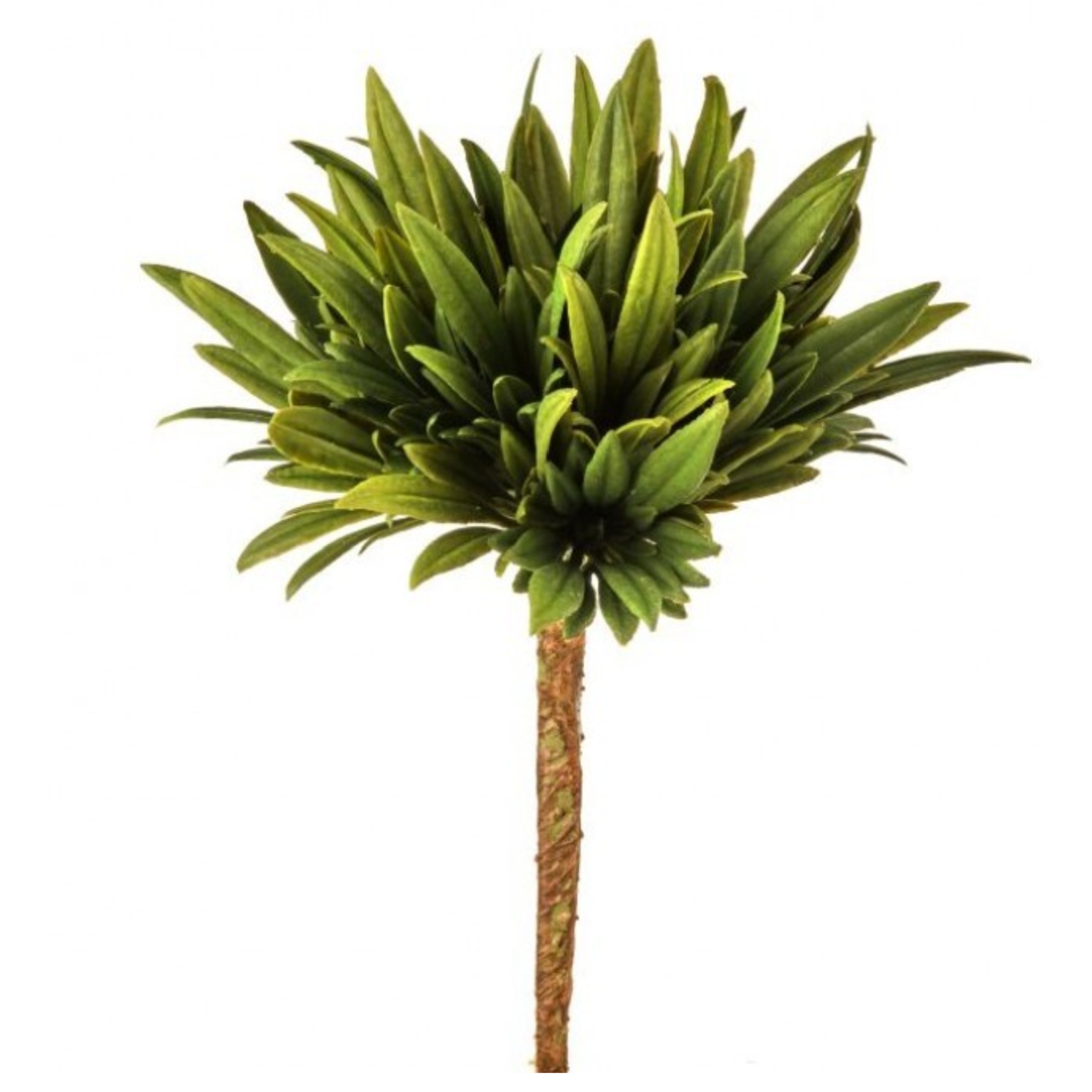 Mickler & Co. Succulent Floral Insert (FI-14)