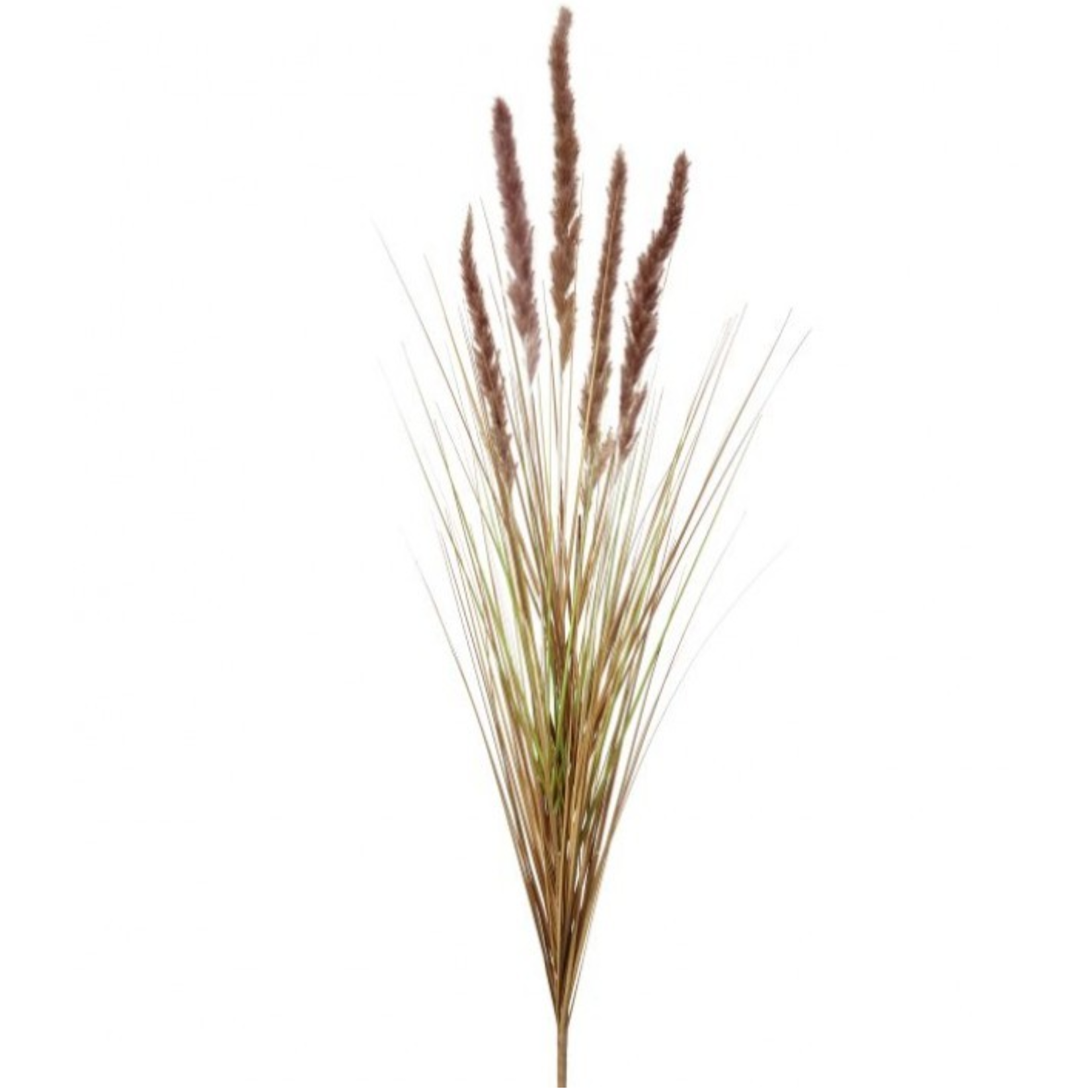 Mickler & Co. Foxtail Grass Insert (FI-33)