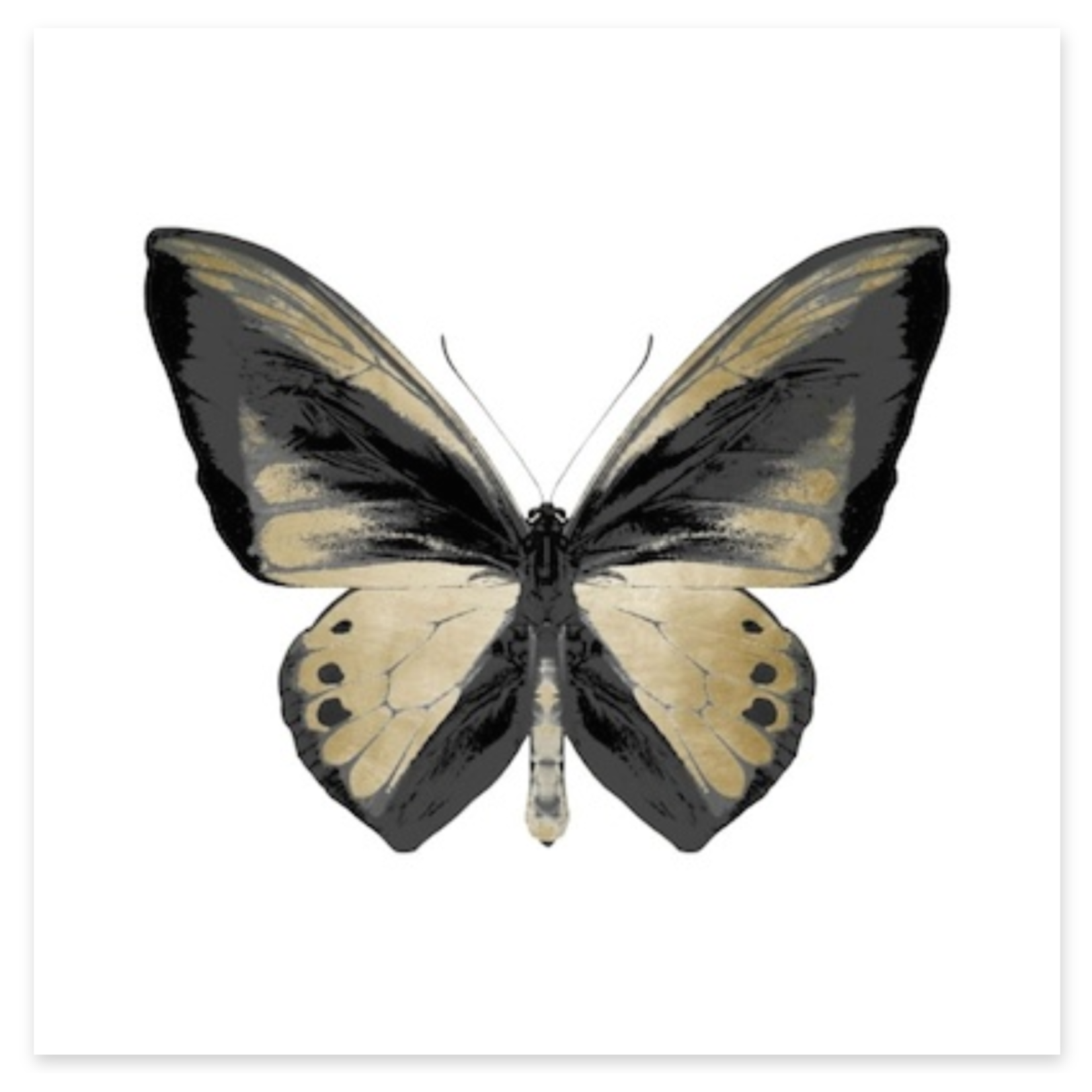 Mickler & Co. Golden Butterfly