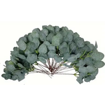Mickler & Co. Eucalyptus Faux Floral Insert (FI-5)