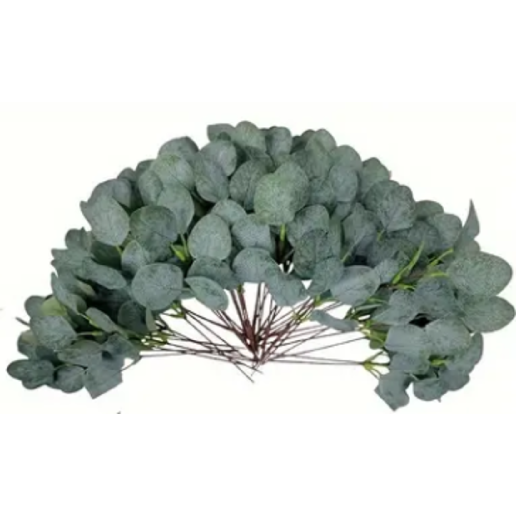 Mickler & Co. Eucalyptus Faux Floral Insert (FI-5)