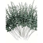 Mickler & Co. Small Eucalyptus Floral Insert (FI-13)