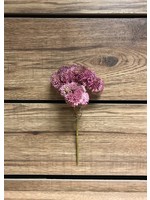 Tri W Imports 9" pink real touch sedum pick