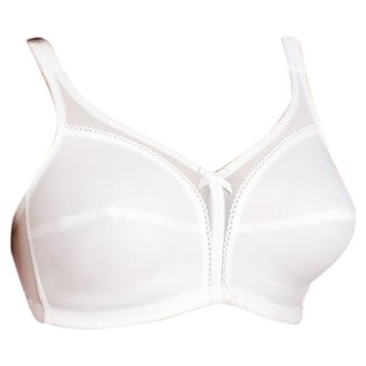 CARNIVAL CARNIVAL 620