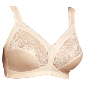 CARNIVAL CARNIVAL 630