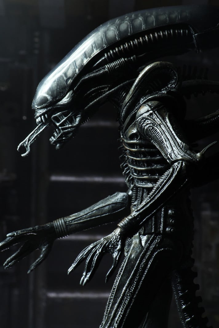 big chap xenomorph