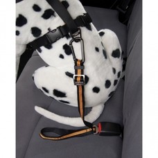 Kurgo | Direct to Seatbelt Tether | Orange