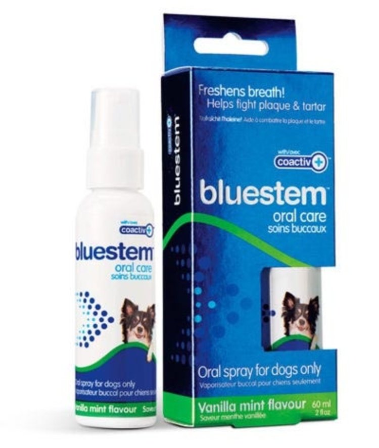Bluestem Spray Vanilla Mint