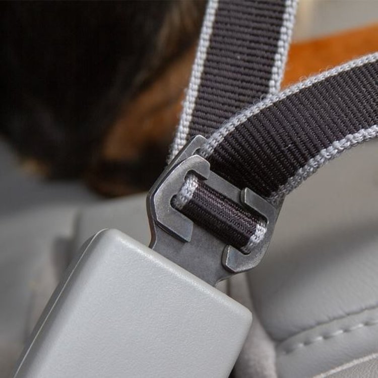 Kurgo | Leash to Seatbelt Buckle