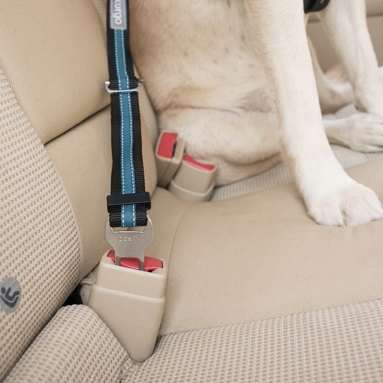 Kurgo | Direct to Seatbelt Tether | Blue