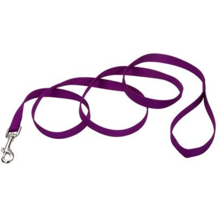 Coastal | Nylon Lead | Purple | 6'x1"