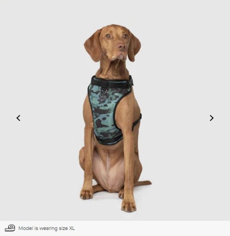 Canada Pooch - Harness - Camo - Medium