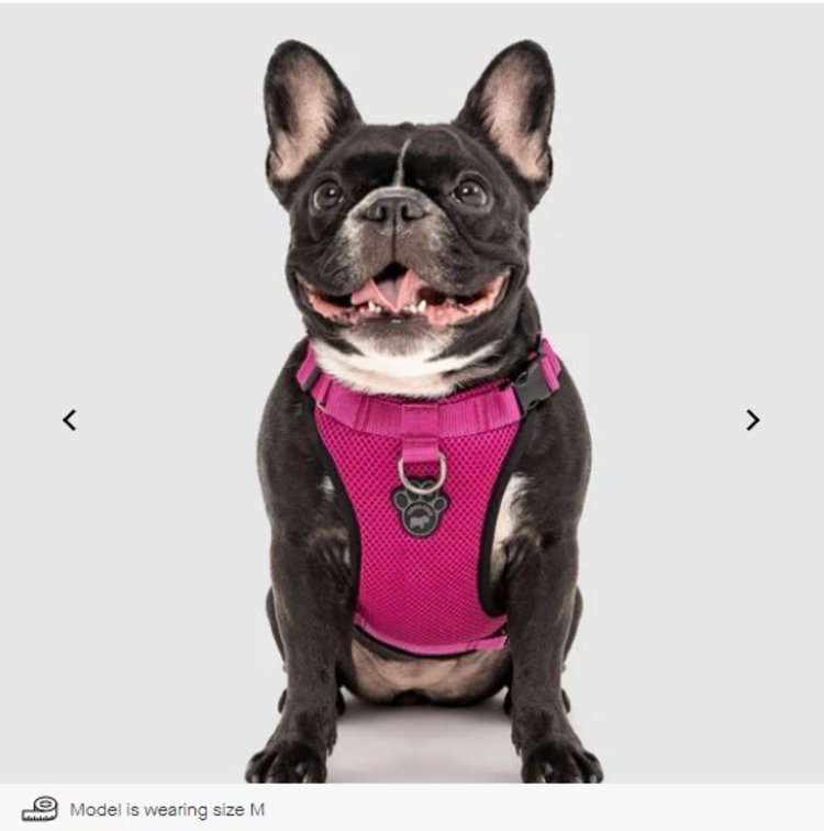 Canada Pooch - Harness - Pink - Large