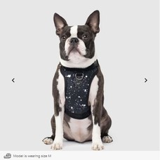 Canada Pooch - Harness - Splatter - Small