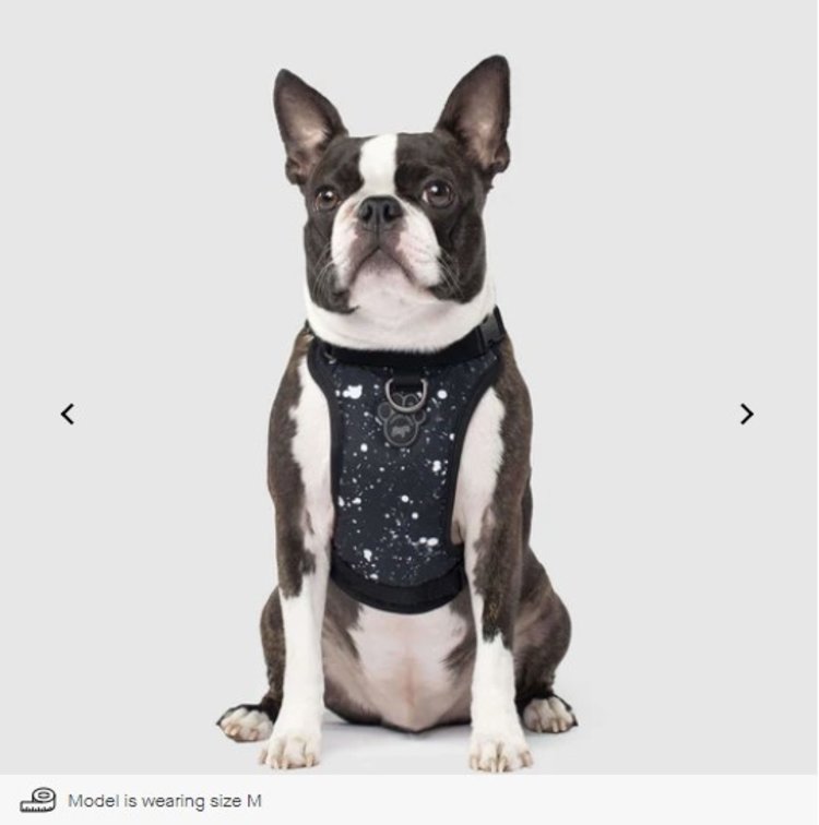Canada Pooch - Harness - Splatter - Small