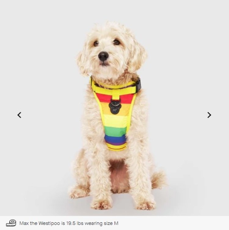Canada Pooch - Harness - Rainbow - XLarge