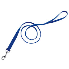 Coastal | Nylon Lead | Blue 6'x1"