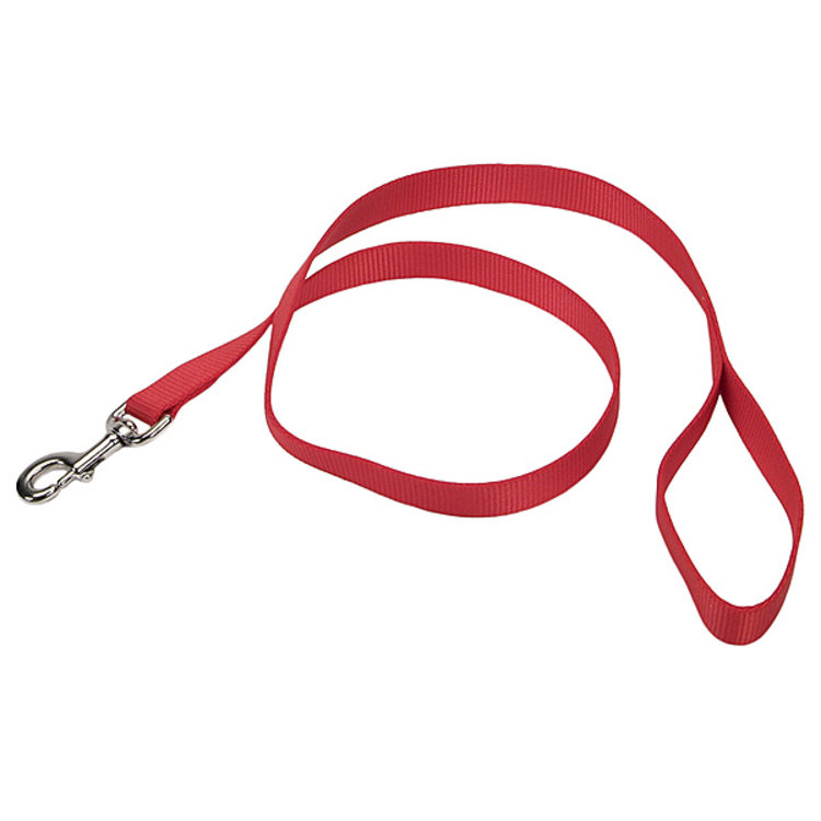 Coastal | Nylon Lead | Red | 6'x1"