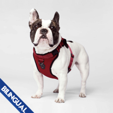 CANADA POOCH | Harness | Red | S