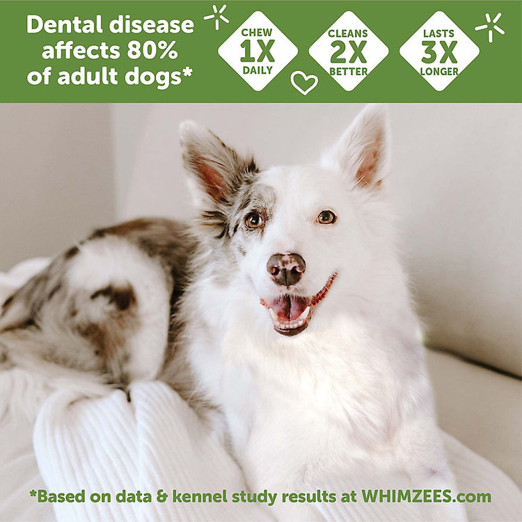 Whimzees Brushzees
