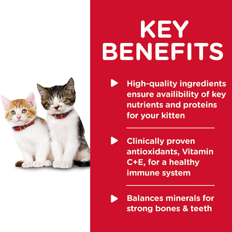 Hills | Feline | Wet | Kitten | Liver & Chicken Entree | 2.9oz