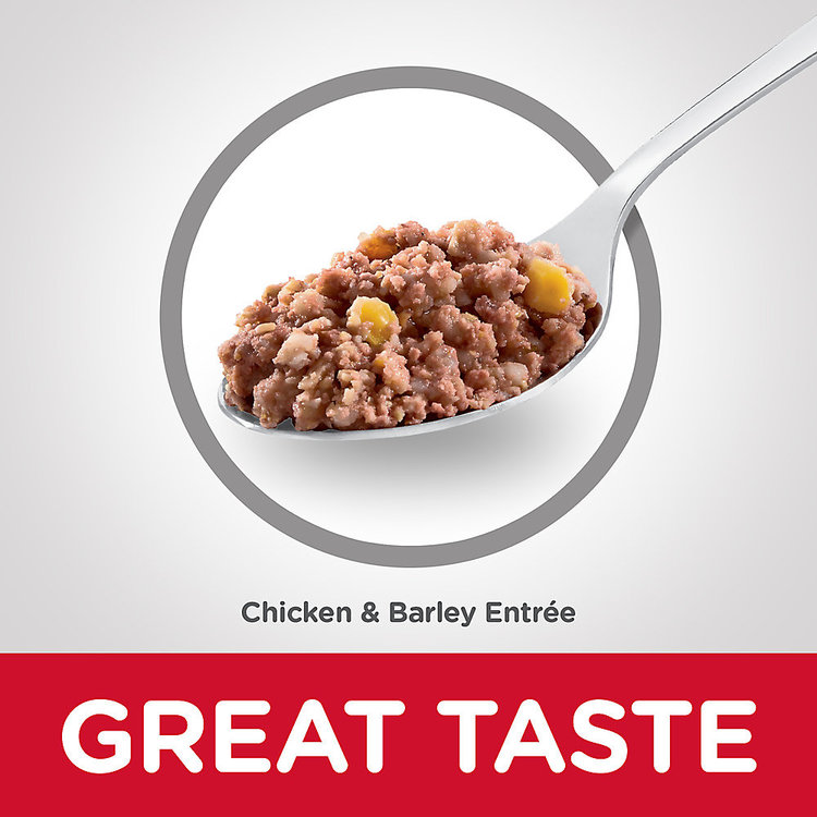 Hills Pet Nutrition Hills | Canine | Wet | Puppy | Chicken Entree | 13oz.