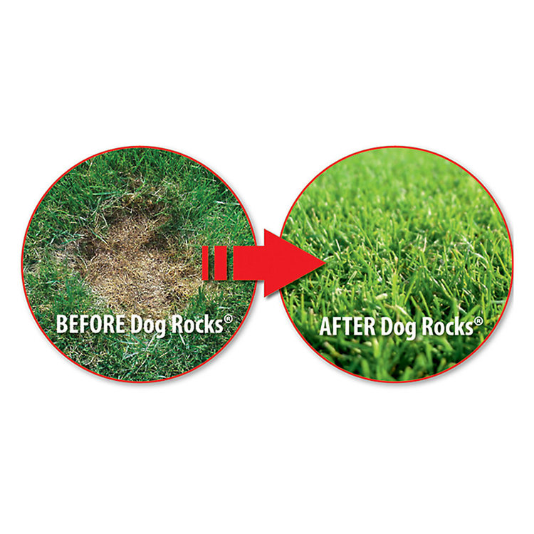 Dog Rocks | Lawn Stain Protection