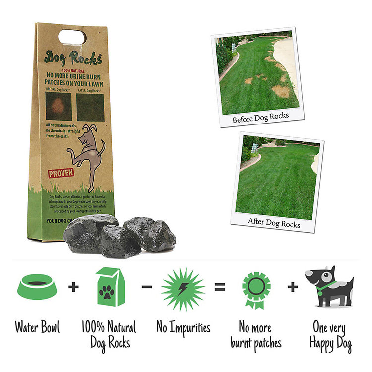 Dog Rocks | Lawn Stain Protection