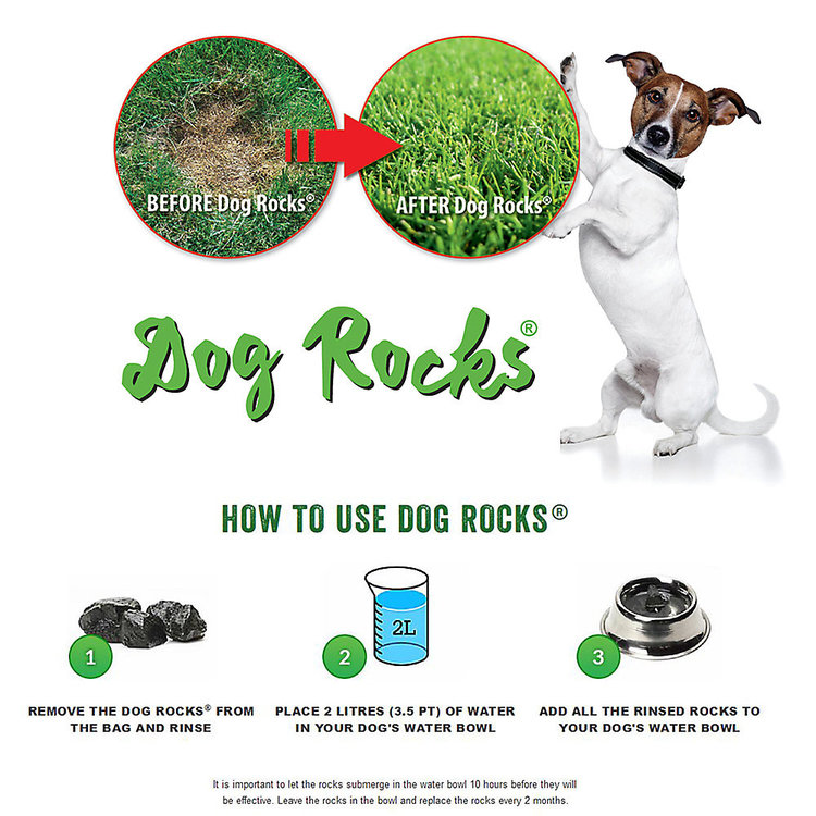 Dog Rocks | Lawn Stain Protection