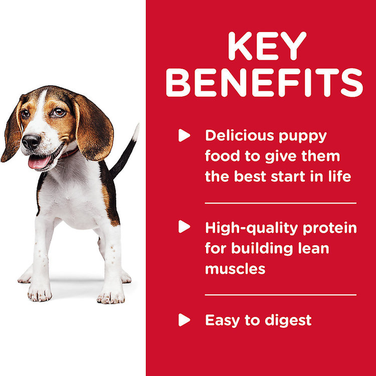 Hills | Canine | Wet | Puppy | Chicken Stew | 13oz