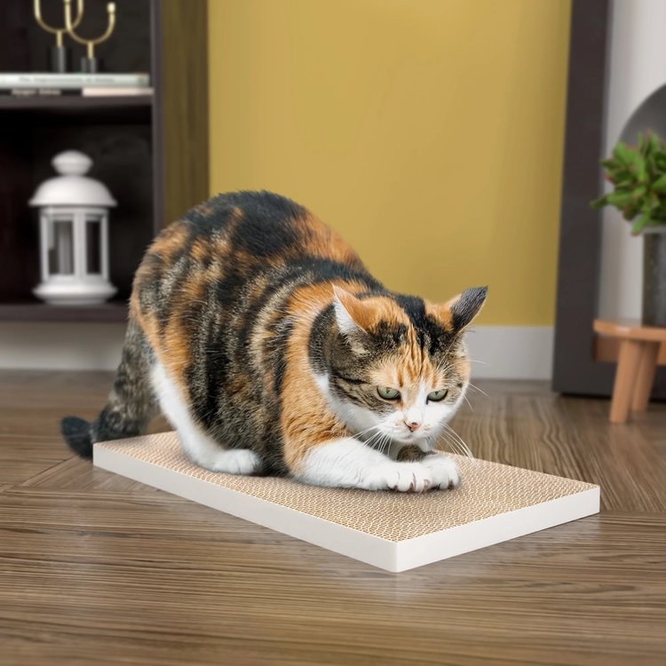 Kong Kong - cat scratcher - refill - 2pk