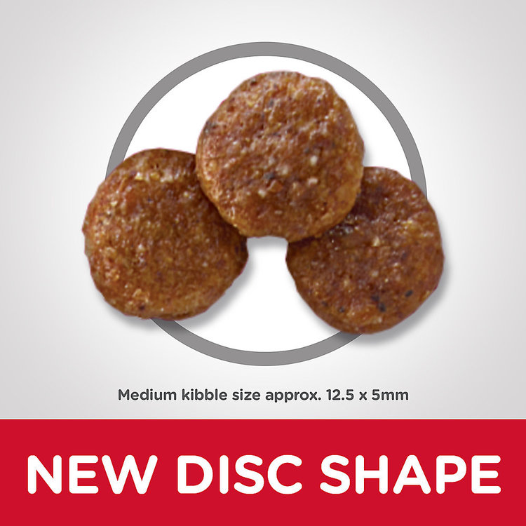 Hills Pet Nutrition Hills | Canine | Dry | Adult 1-6 | Chicken | 5lbs