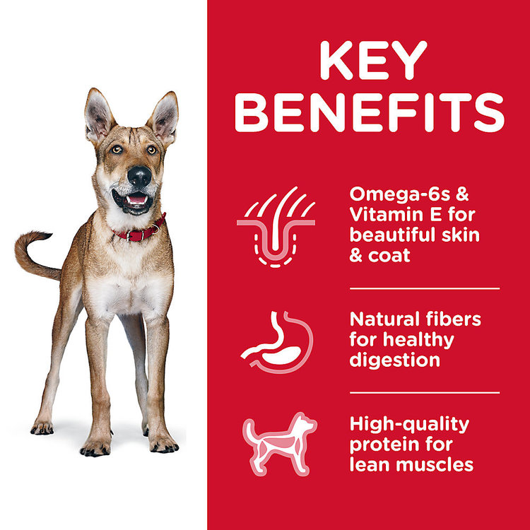 Hills Pet Nutrition Hills | Canine | Dry | Adult 1-6 | Chicken | 5lbs