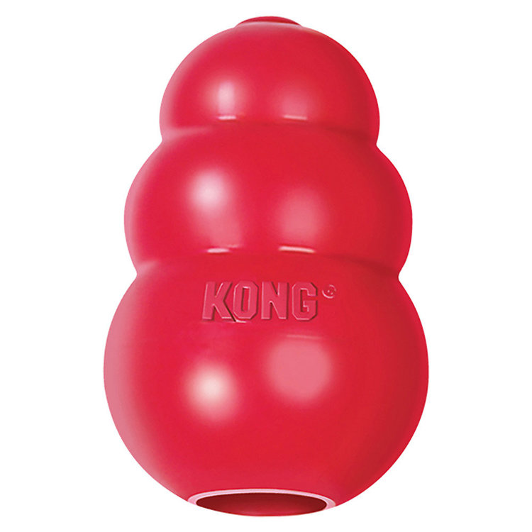 Kong Kong | Classic Kong | Medium