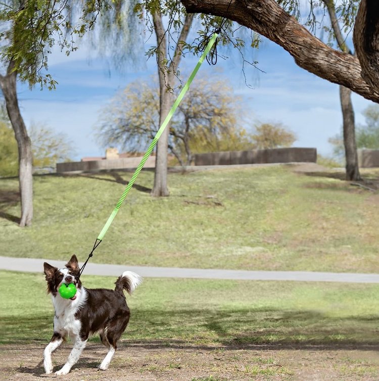 Jolly Pets | Tree Tugger - Green