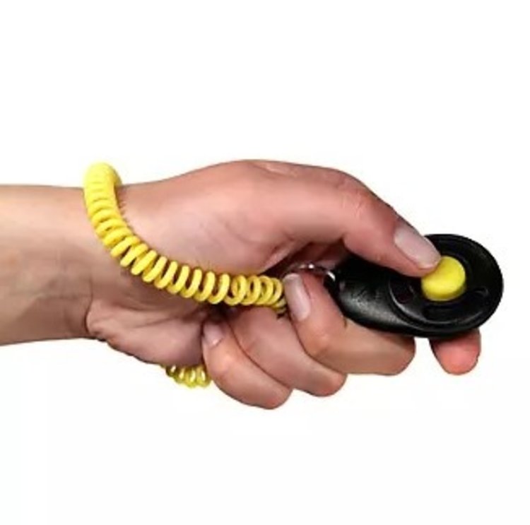 Starmark - training  clicker - deluxe