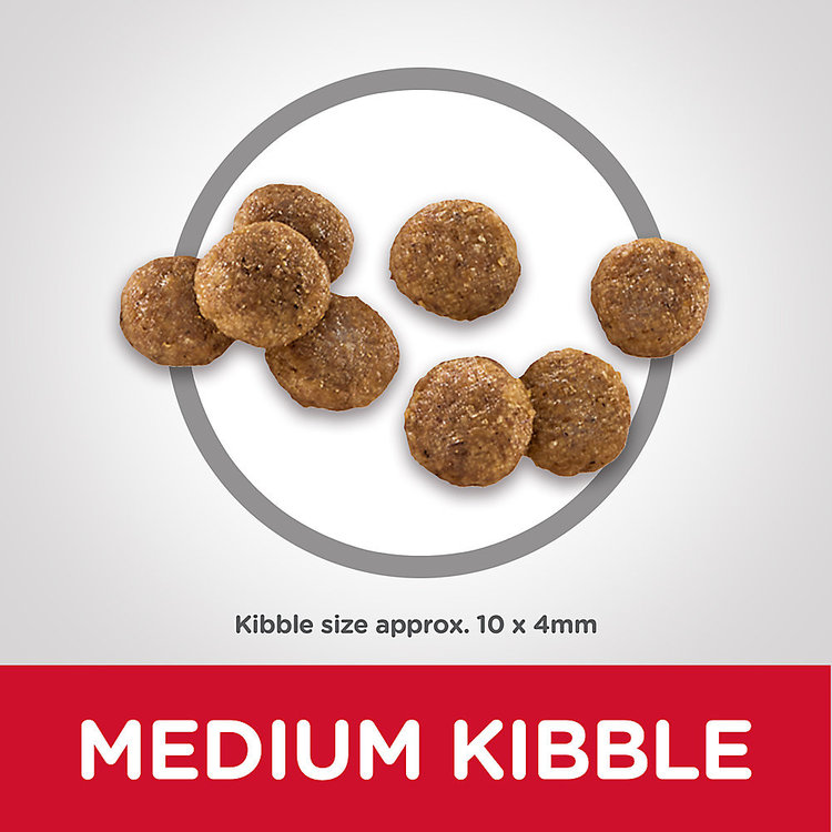 Hills Pet Nutrition Hills | Canine | Dry | Puppy | Chicken | 4.5lbs