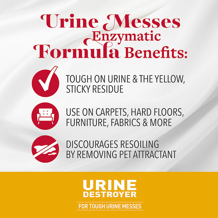 Natures Miracle | Cat Urine Destroyer Foam Aerosol | 17.5 oz