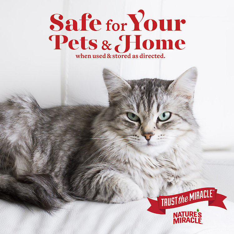 Natures Miracle | Cat Urine Destroyer Foam Aerosol | 17.5 oz