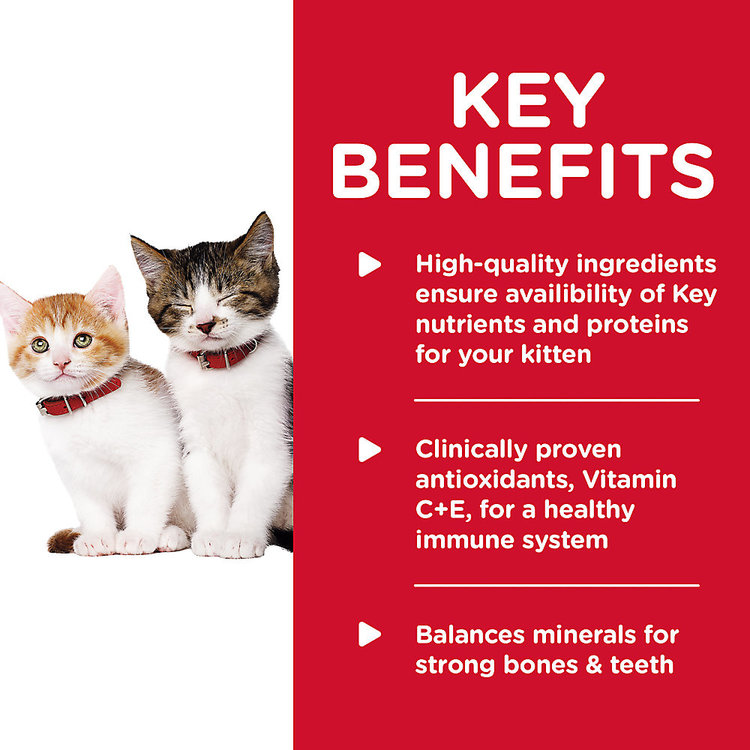 Hills Pet Nutrition Hills - wet - feline - kitten - chicken and liver entree - 5.5 oz
