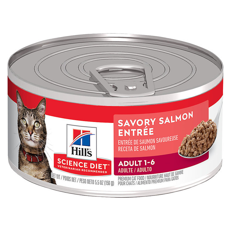 Hills Pet Nutrition Hills | Feline | Wet | Adult 1-6 | Savory Salmon | 5.5oz